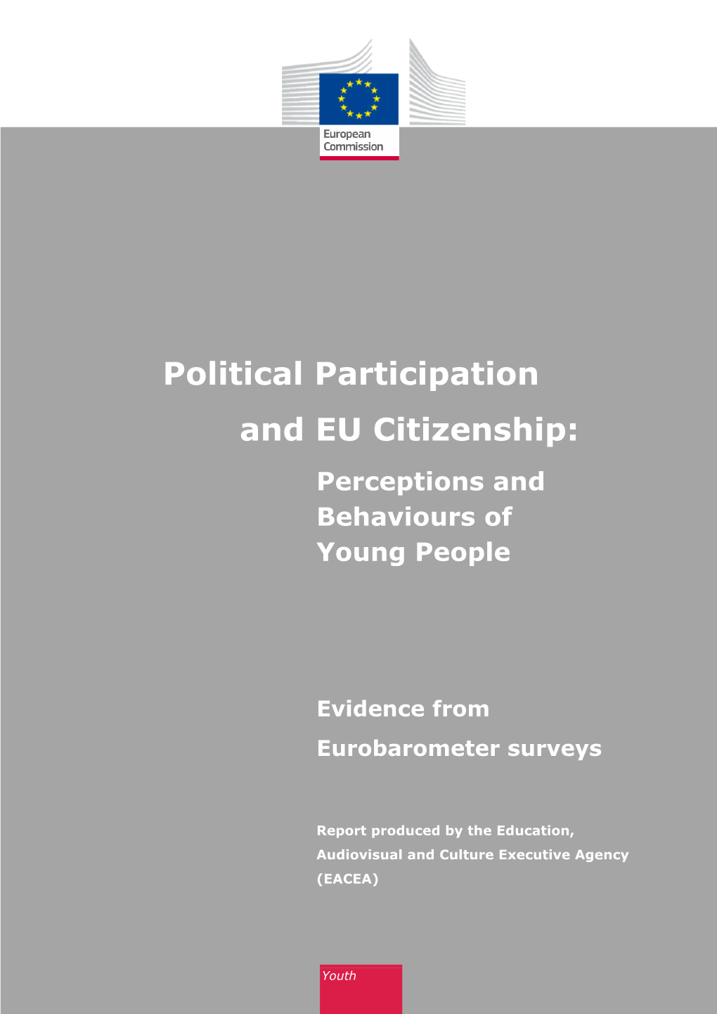 Political Participation and EU Citizenship: Perceptions and Behaviours of Young People