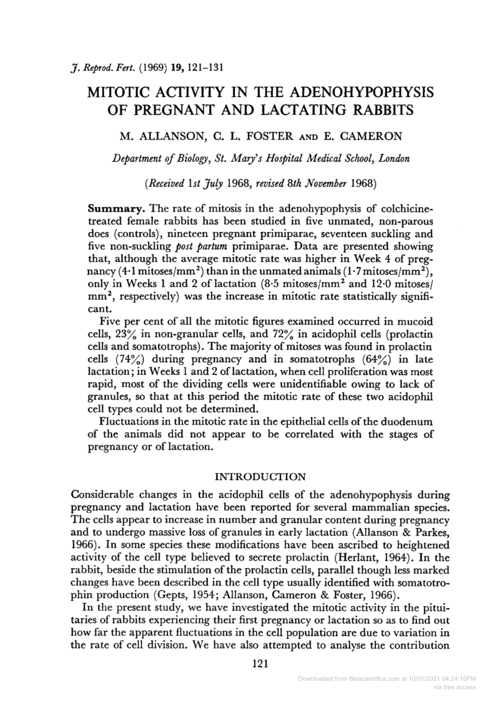 Mitotic Activity in the Adenohypophysis of Pregnant and Lactating Rabbits