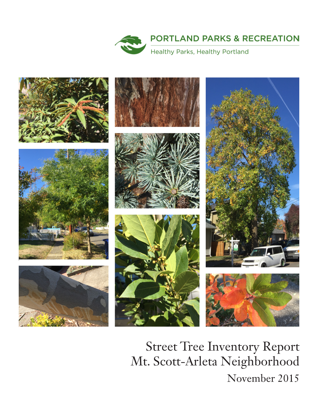 Street Tree Inventory Report Mt. Scott-Arleta Neighborhood November 2015 Street Tree Inventory Report: Mt