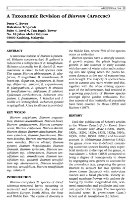 Boyce, P. 2006. a Taxonomic Revision of the Biarum (Araceae)