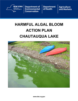 Harmful Algal Bloom Action Plan Chautauqua Lake