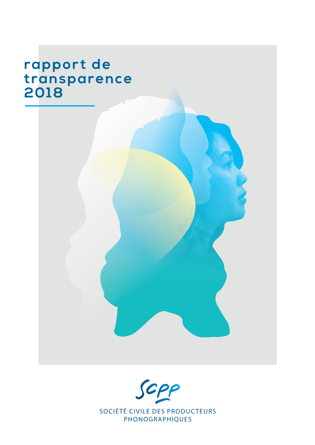 Rapport De Transparence 2018 Télécharger La Brochure