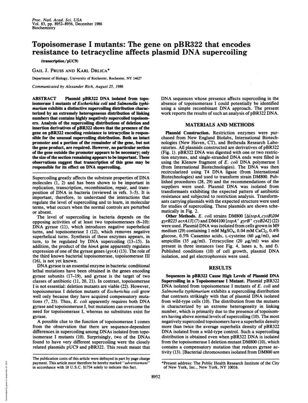 Resistance to Tetracycline Affects Plasmid DNA Supercoiling (Transcription/Puc9) GAIL J
