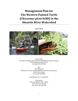 Management Plan for the Western Painted Turtle (Chrysemys Picta Bellii)