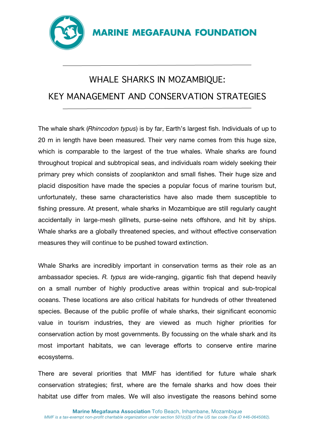 Whale Sharks in Mozambique: Key Management and Conservation