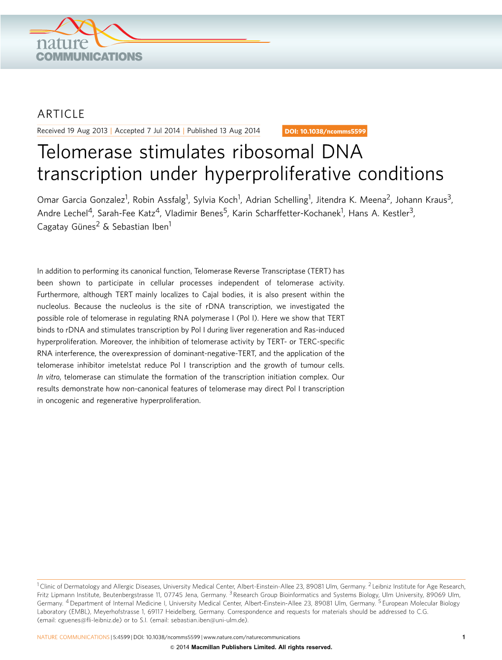 Telomerase Stimulates Ribosomal DNA Transcription Under Hyperproliferative Conditions