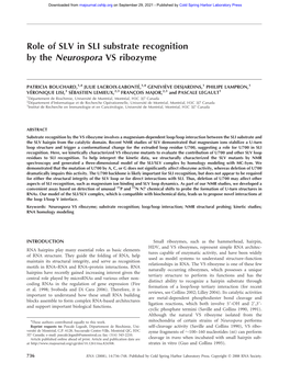 Role of SLV in SLI Substrate Recognition by the Neurospora VS Ribozyme