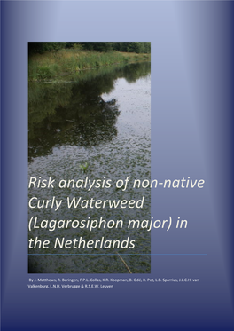 Risk Analysis of Non-Native Curly Waterweed (Lagarosiphon Major) in the Netherlands