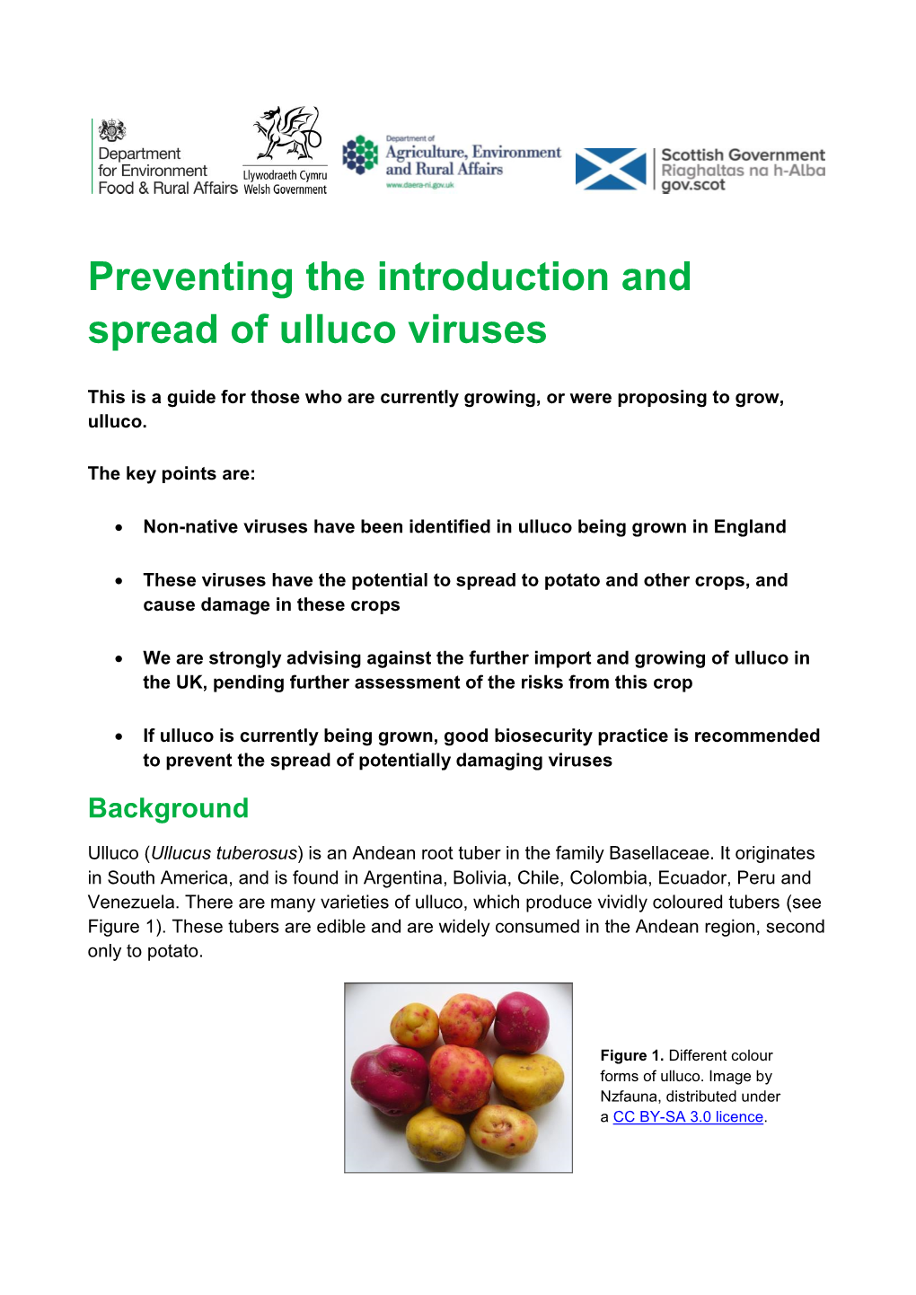 Preventing the Introduction and Spread of Ulluco Viruses