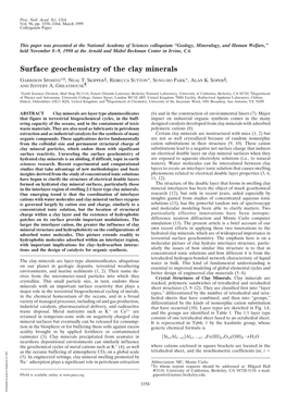 Surface Geochemistry of the Clay Minerals