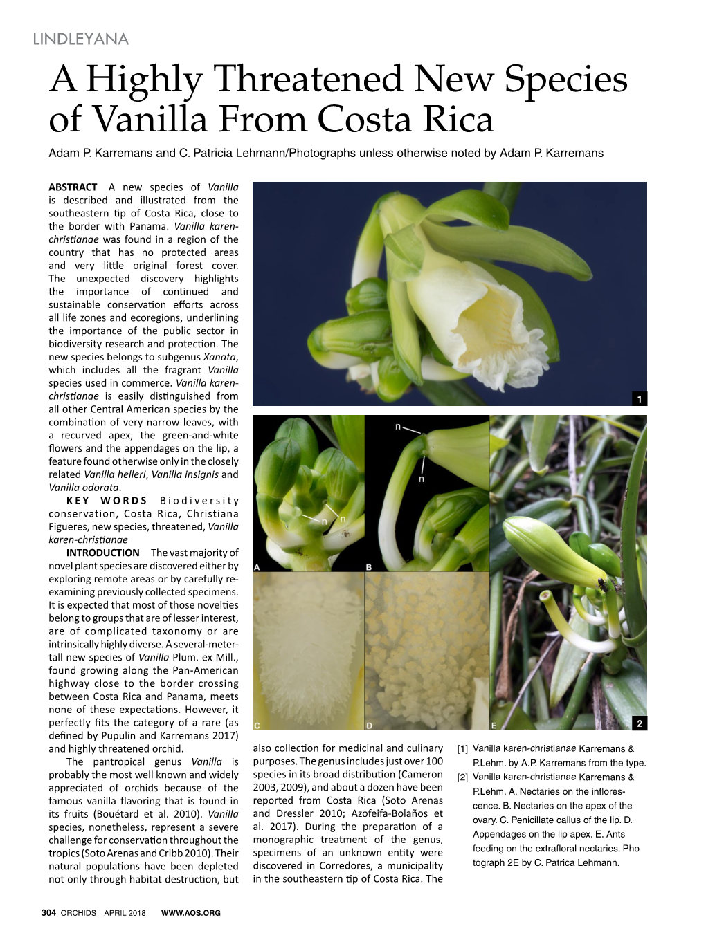 A Highly Threatened New Species of Vanilla from Costa Rica Adam P