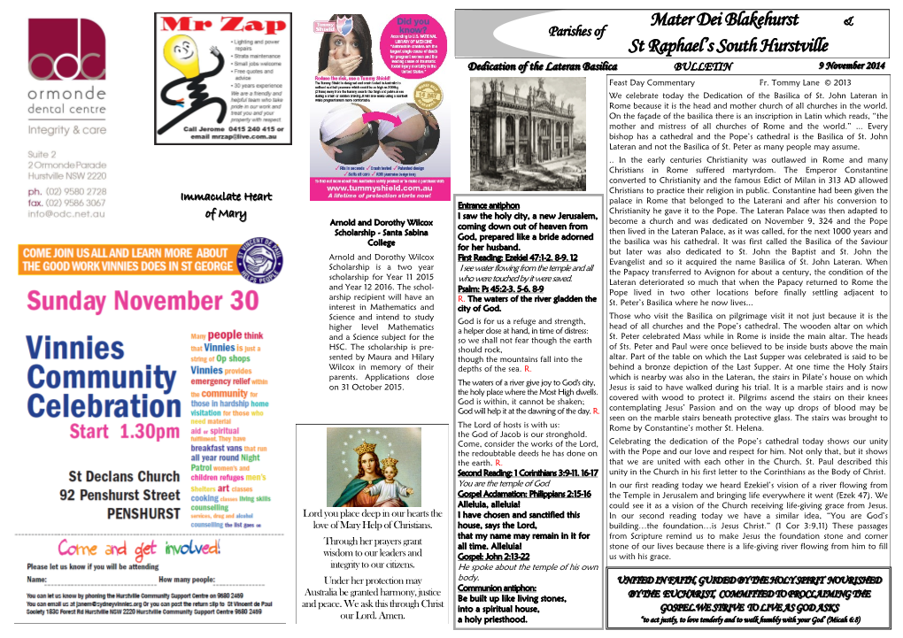 Download the Bulletin