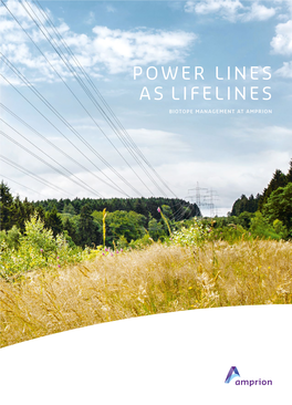 Power Lines As Lifelines