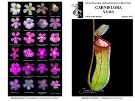 Carniflora News