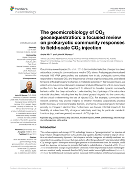 The Geomicrobiology of CO2 Geosequestration: a Focused Review on Prokaryotic Community Responses Edited By: Lisa Y