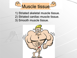 Muscle Tissue 1) Striated Skeletal Muscle Tissue