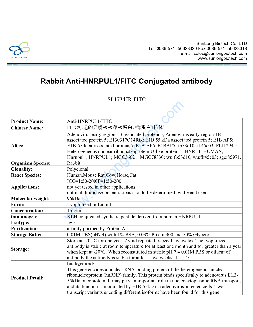 Rabbit Anti-HNRPUL1/FITC Conjugated Antibody-SL17347R