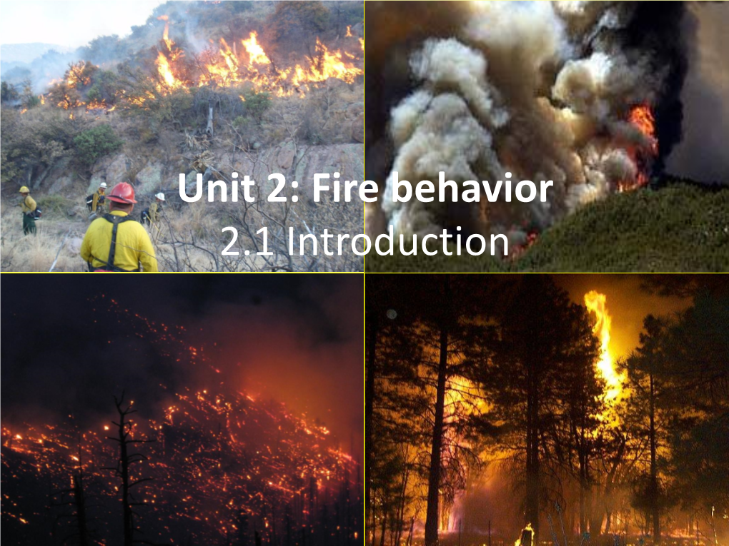 Unit 2: Fire Behavior 2.1 Introduction Fire Behavior Is One of the Most Prominent and Characteristic Features of Wildland Fire