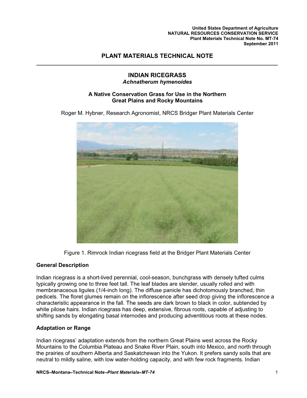 Plant Materials Technical Note Indian Ricegrass