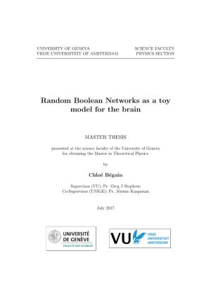Random Boolean Networks As a Toy Model for the Brain