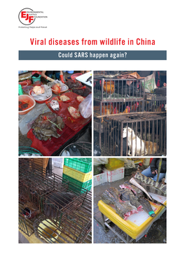 Viral Diseases from Wildlife in China Could SARS Happen Again?