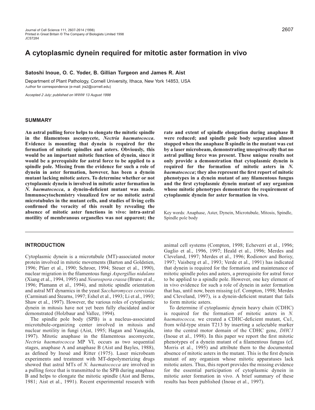 A Cytoplasmic Dynein Required for Mitotic Aster Formation in Vivo