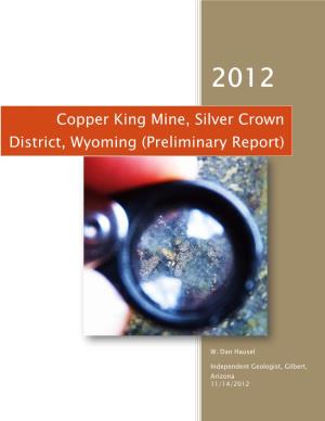 Copper King Mine, Silver Crown District, Wyoming (Preliminary Report)