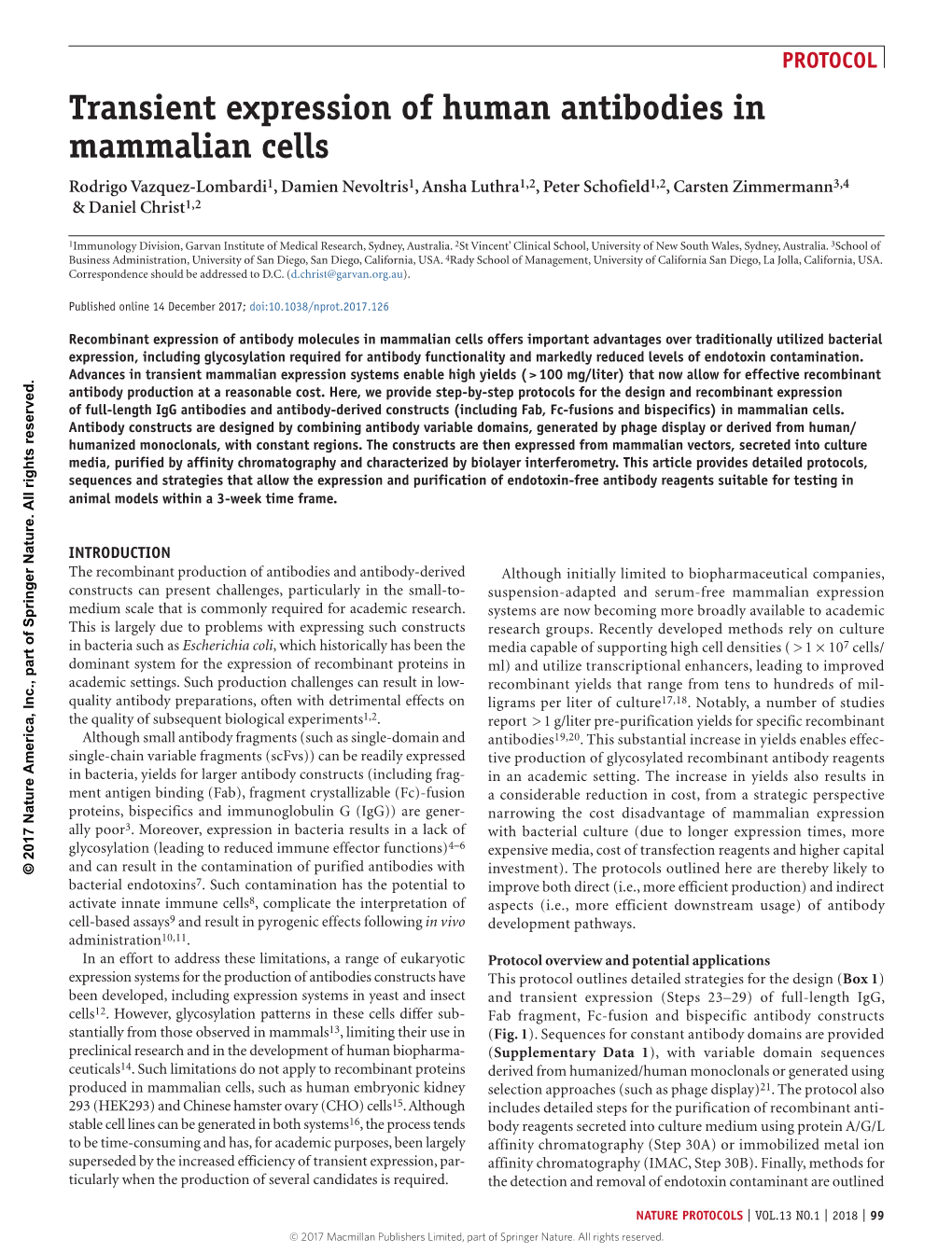 Transient Expression of Human Antibodies in Mammalian Cells