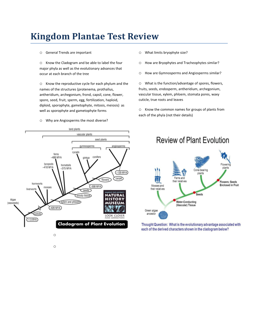 Kingdom Plantae Test Review