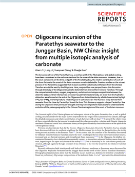Oligocene Incursion of the Paratethys Seawater to the Junggar