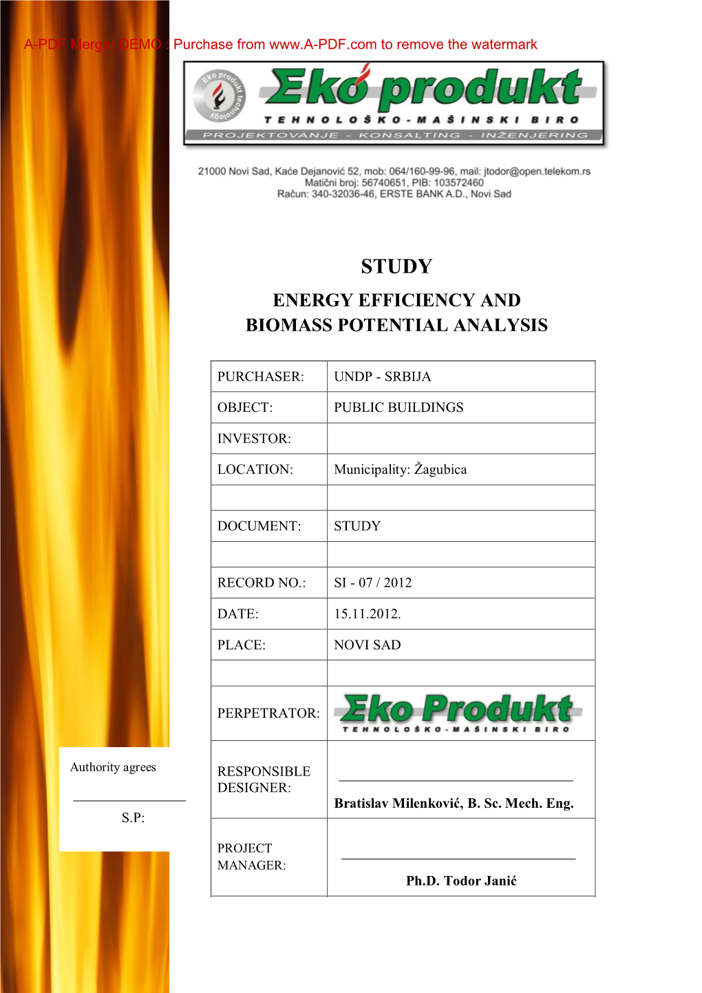 Study: Energy Efficiency and Biomass Potentall Analysis