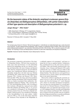 On the Taxonomic Status of the Antarctic Amphipod Crustacean