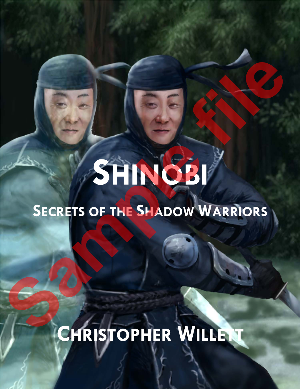 Shinobi Secrets of the Shadow Warriors