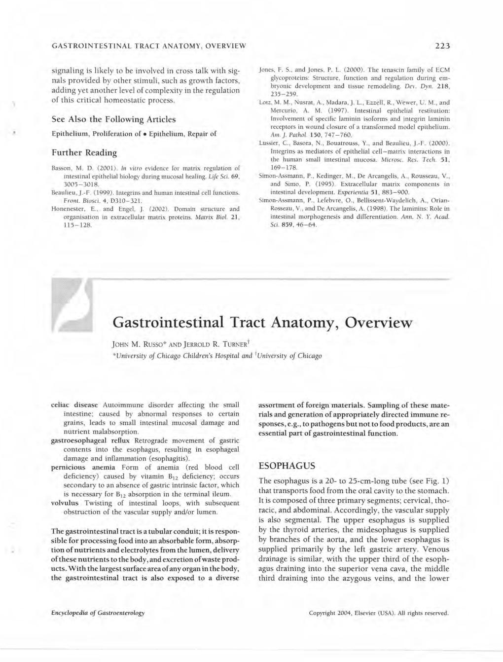 Gastrointestinal Tract Anatomy, Overview 223