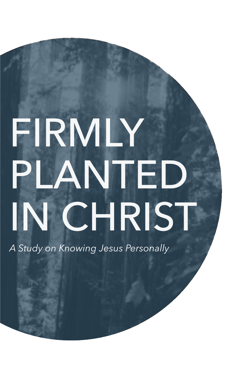 FIRMLY PLANTED in CHRIST a Study on Knowing Jesus Personally © 2018 Campus Outreach Augusta