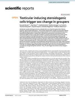 Testicular Inducing Steroidogenic Cells Trigger Sex Change in Groupers