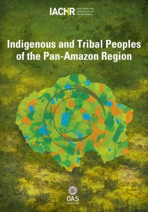 Indigenous and Tribal Peoples of the Pan-Amazon Region