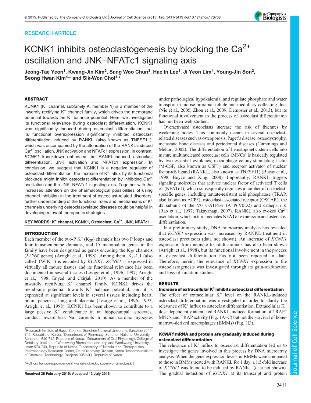 KCNK1 Inhibits Osteoclastogenesis by Blocking the Ca Oscillation And