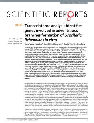 Transcriptome Analysis Identifies Genes Involved in Adventitious