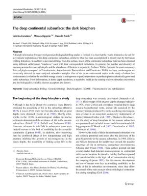 The Deep Continental Subsurface: the Dark Biosphere