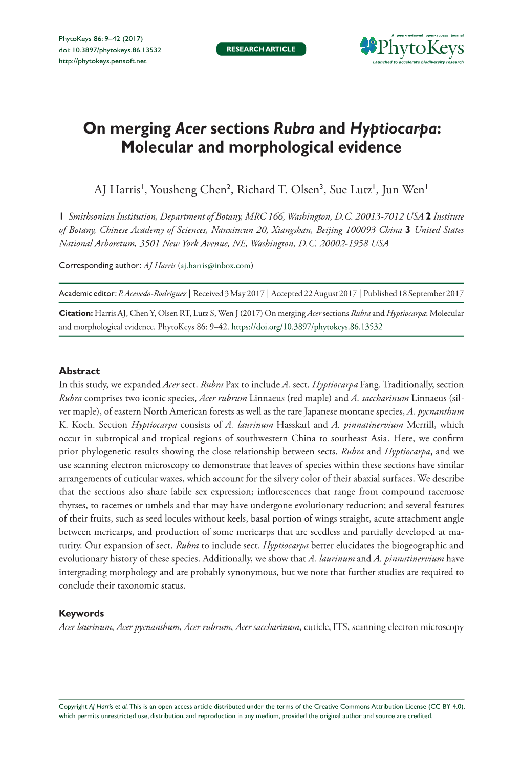 On Merging Acer Sections Rubra and Hyptiocarpa: Molecular and Morphological Evidence