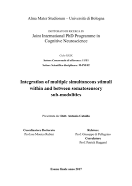 Integration of Multiple Simultaneous Stimuli Within and Between Somatosensory Sub-Modalities