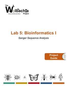 Lab 5: Bioinformatics I Sanger Sequence Analysis