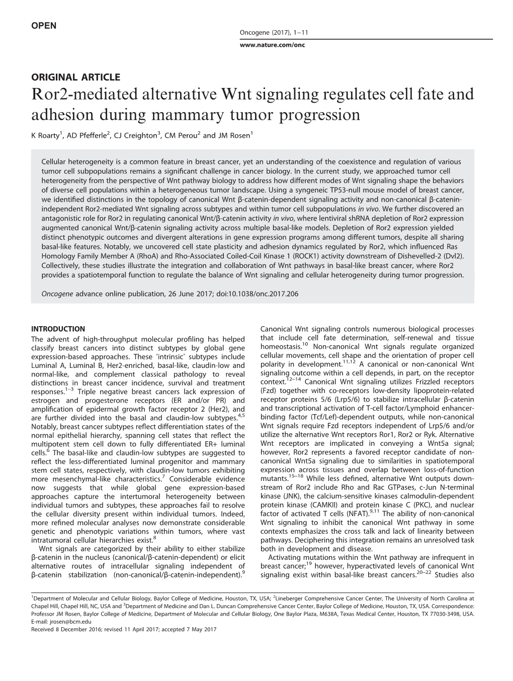 Ror2-Mediated Alternative Wnt Signaling Regulates Cell Fate and Adhesion During Mammary Tumor Progression