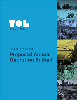 Proposed Annual Operating Budget November 15, 2020