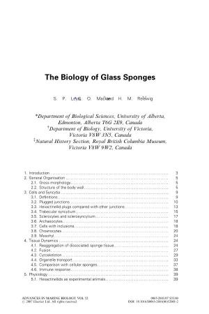 The Biology of Glass Sponges