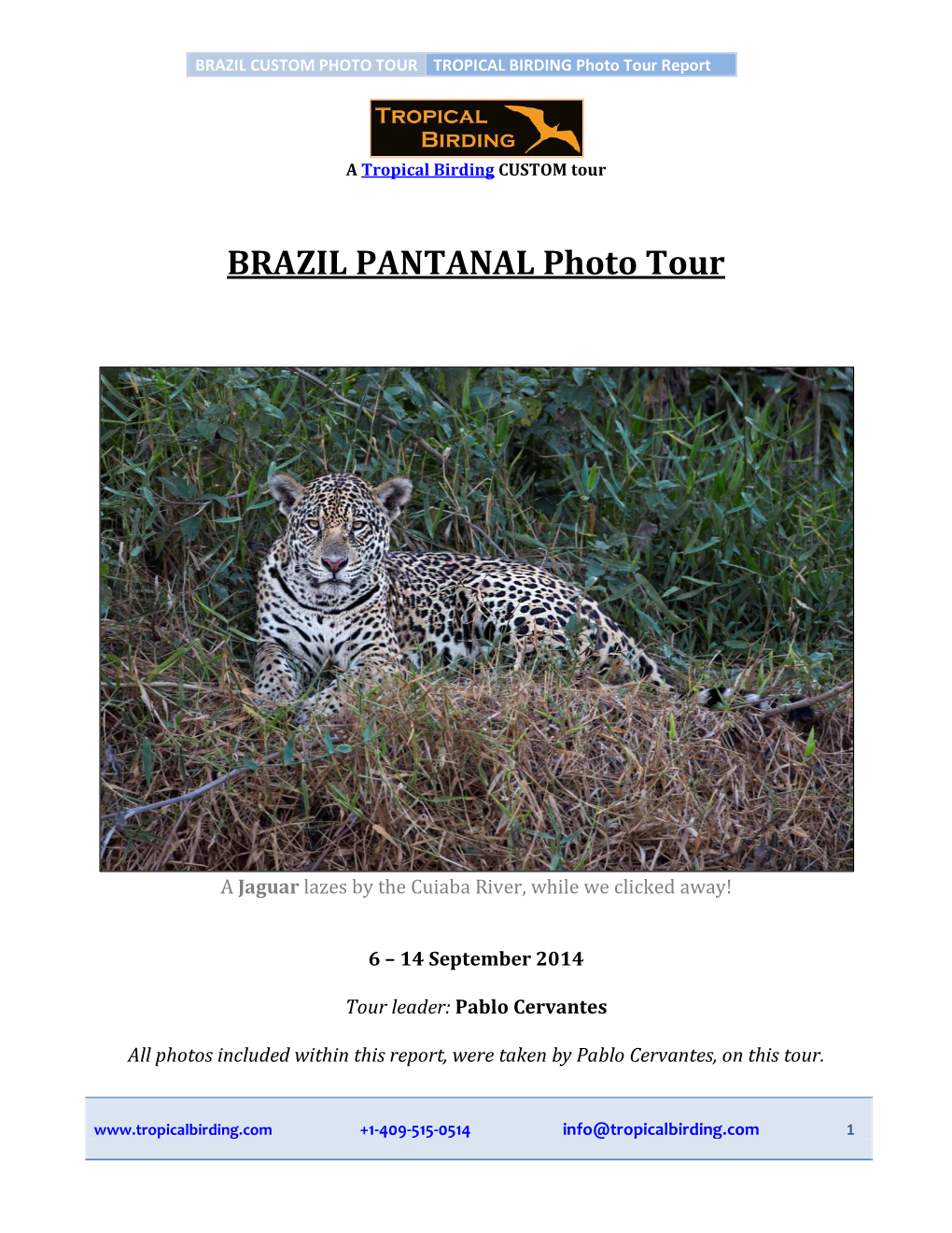 BRAZIL PANTANAL Photo Tour