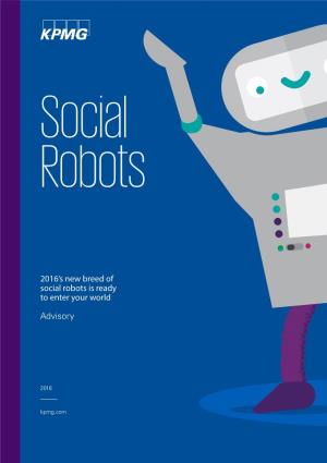 Social Robots