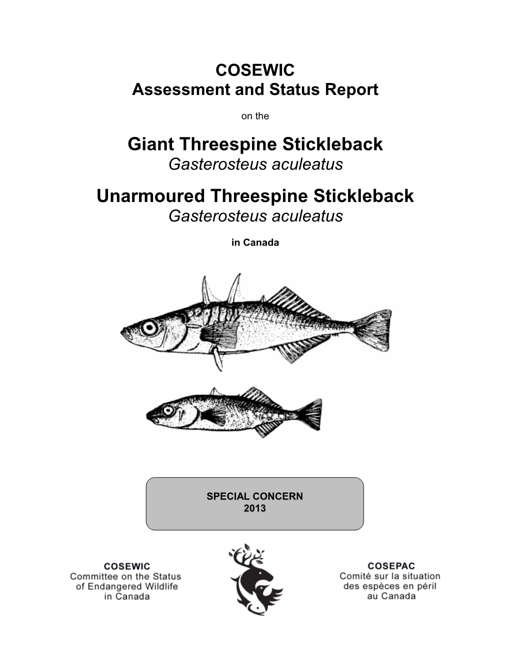 Giant Threespine Stickleback, Charlotte Unarmoured Threespine