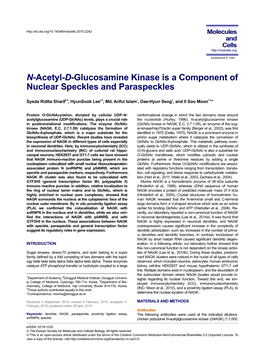 N-Acetyl-D-Glucosamine Kinase Is a Component of Nuclear Speckles and Paraspeckles